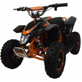 500W Kids/Children Z20 Electric Micro Mini Moto Quad Bike Ride On 36V