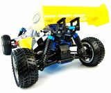 Backwash Nitro Radio Controlled Buggy 2.4Ghz RC Remote Control Car