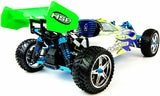 Backwash Pro Nitro Radio Remote Control Controlled Buggy RC Car RTR