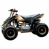 500W Kids/Children Z20 Electric Micro Mini Moto Quad Bike Ride On 36V